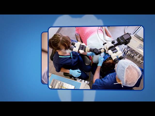 Endodontic Retreatment Explained